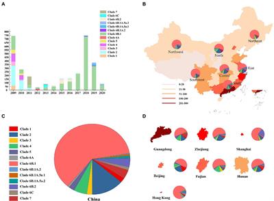 The genetic diversity, replication, and transmission of 2009 pandemic H1N1 viruses in China